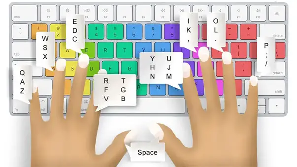 Certificate in Typing Master 